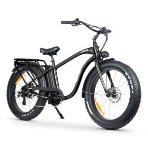 Apmd Bros CHUBBIE 2 Electric Bike